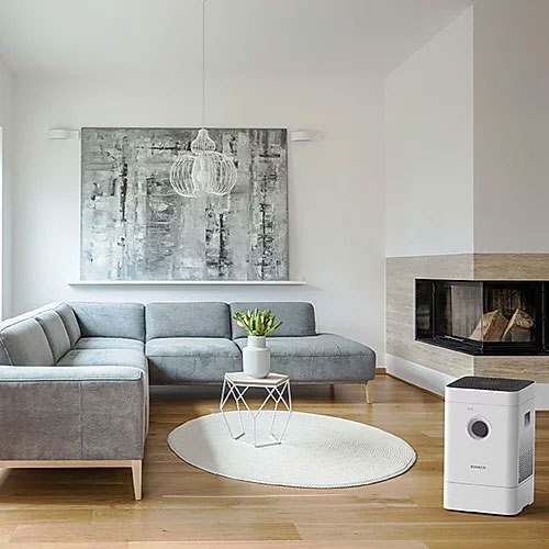 Boneco H300 air purifier & evaporative humidifier