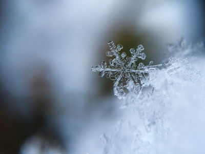 It’s getting colder, and so is your conservatory  